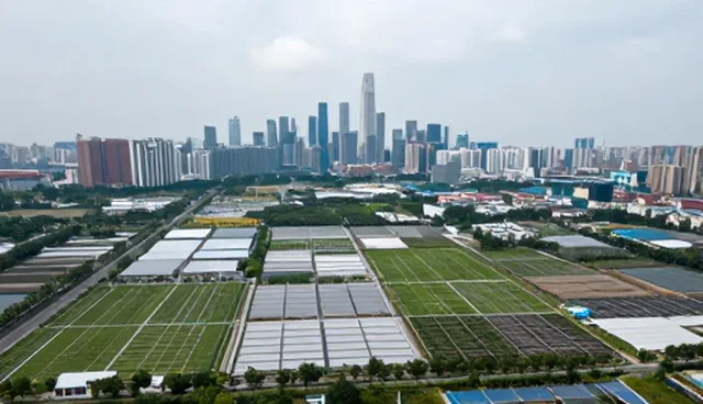 场景化技术咨询：选型、使用与维护的实用建议