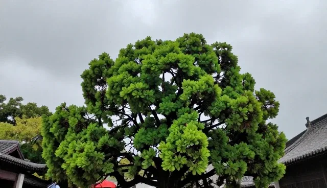 健康体检后如何科学制定康复指导方案