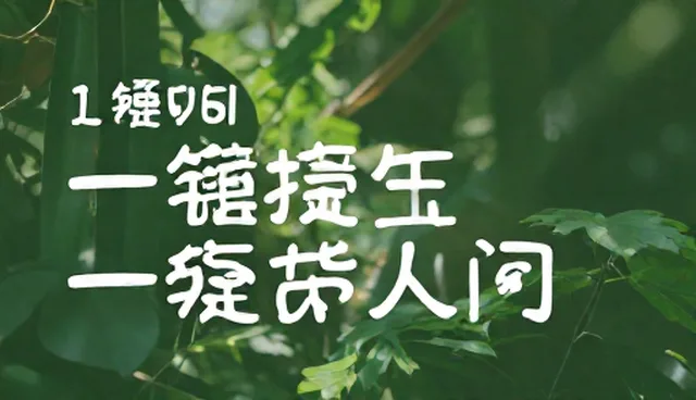 一键复制功能如何支撑电商运营中的多模型应用