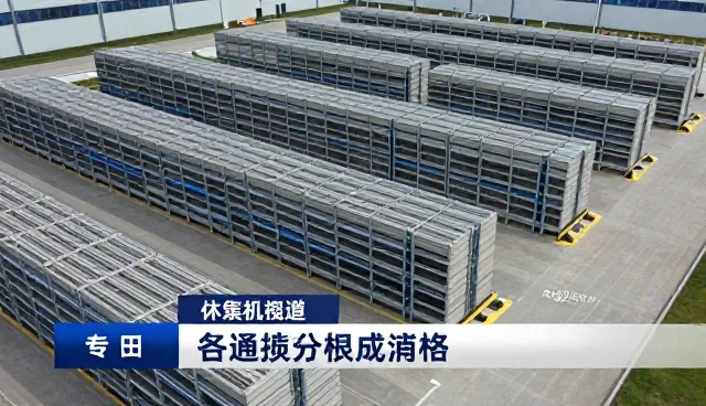 技术外包如何推动性能评估业务的持续发展