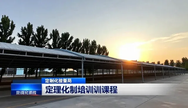 定制化课程在技术外包场景中的应用与设计服务价值