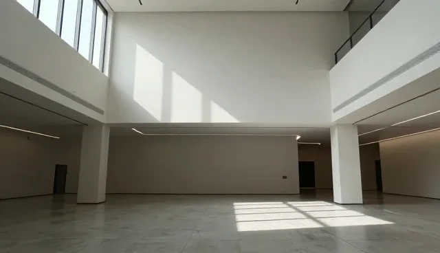 应用场景分析：品牌咨询中的限制因素与适用情况