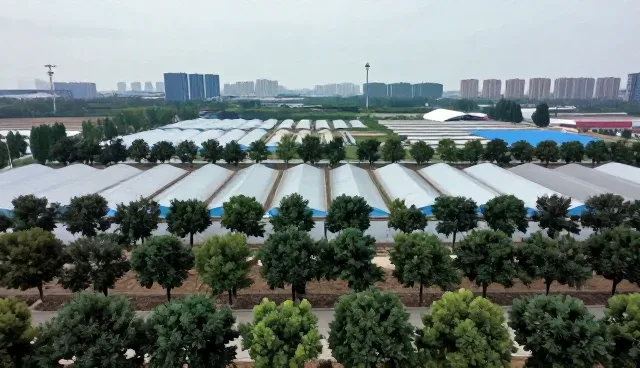 园林景观材料选择与维护中的关键问题分析