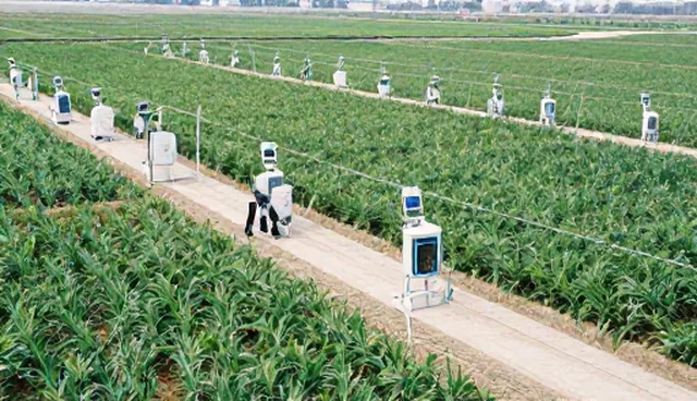 农资选型中的关键考量因素及实际应对策略