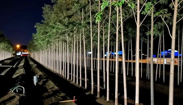 养护方法创新推动渠道供货业务转型升级