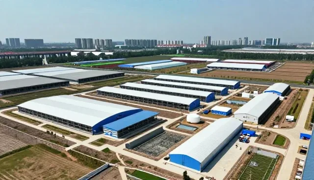 运维服务设计中的业务趋势与实际考量
