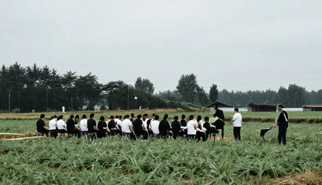 运维服务中团队协作问题的应对策略