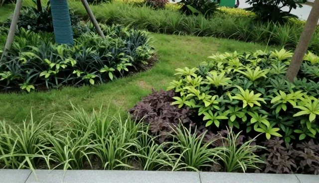 安装调试中沟通机制差异对比与实际取舍