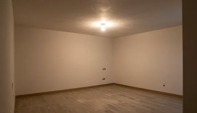 系统运维中软件开发的多场景应用与维护策略