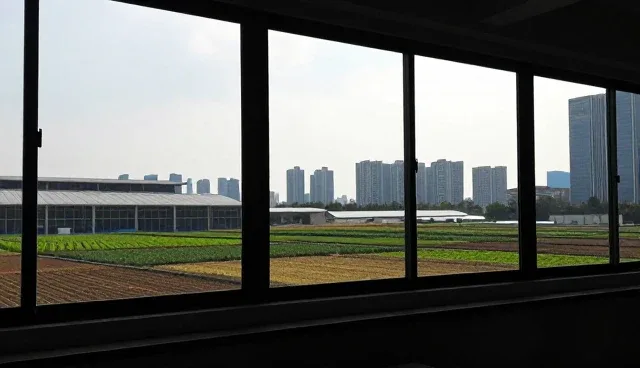 如何通过系统实施提升效率？