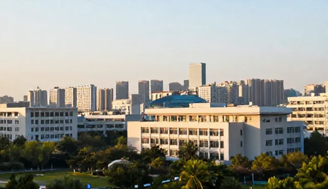 软件定制中系统平台搭建的两种做法对比及取舍