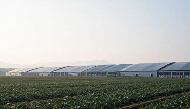 如何通过师资培训实现教师成长的高效对比