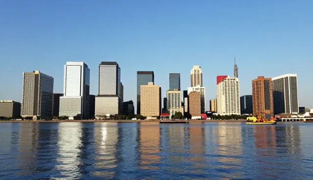 网站定制化：企业名录业务发展趋势下的新路径