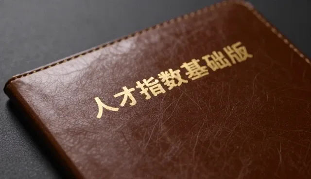 人才指数查询服务的应用场景分析：政策资讯服务如何提升效率