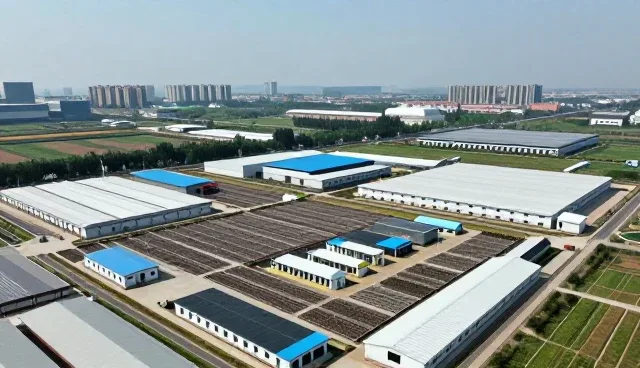管理培训在协同工作中的常见问题与应对策略