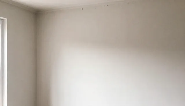 高纯度溶剂在化工反应中的效率对比与取舍