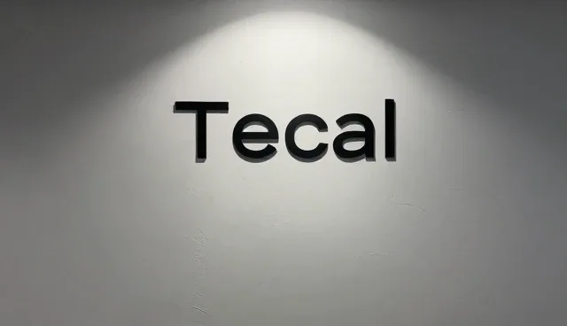 技术外包在性能优化中的适用边界与实践考量