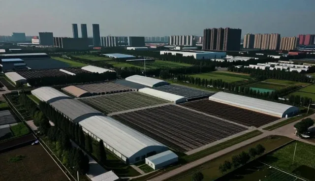 对象覆盖在媒介投放中的关键作用与优化策略