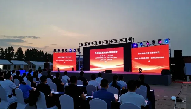 行业信息月报在团队响应中的实际应用与问题解析