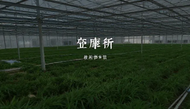 直播运营中品牌传播策划的关键选型考量