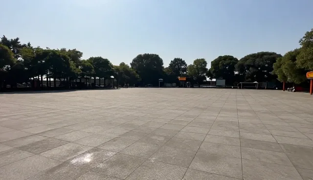 商务代理中策划方案性能与适用条件的影响因素
