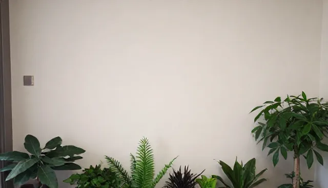 技术研发如何选择性能与适用条件？