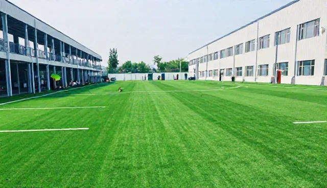 人造草坪产品常见问题及应对策略分析