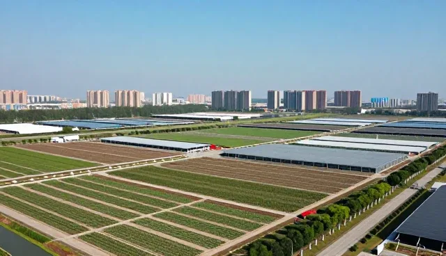 数据整合系统在复杂网络环境下的性能表现与适用条件分析