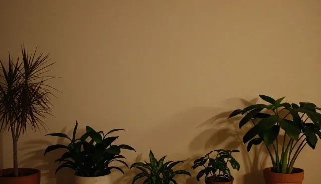 数据丢失对成本控制的影响与应对策略
