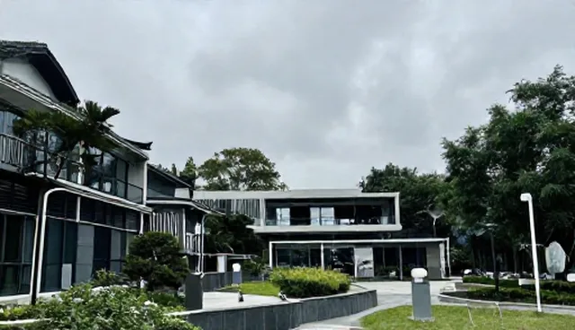 技术开发在业务中的适用情况与限制分析