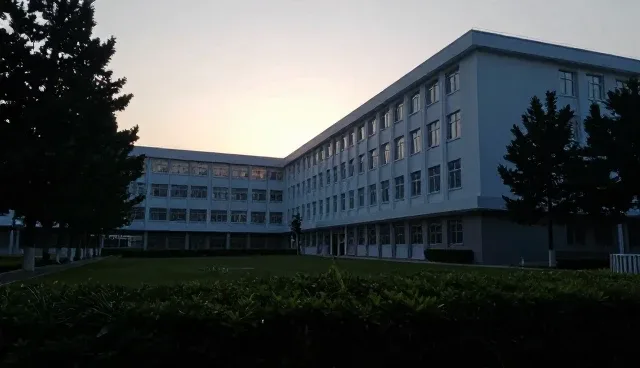 提升绿化区域安全性的日常保洁管理策略