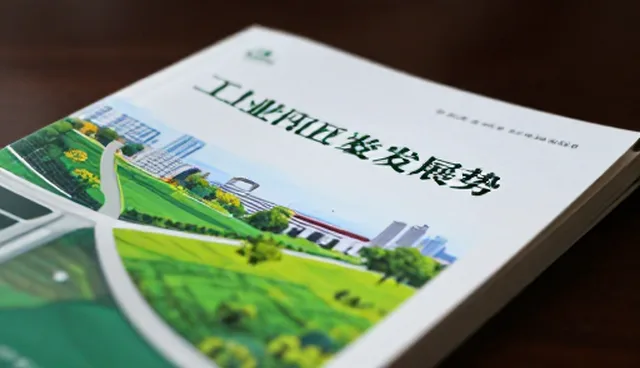 客厅组合环境协调问题及优化方向