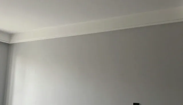 应用场景中管理办法的常见问题与应对策略