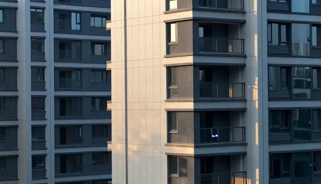 服务器托管服务性能优化与适用条件分析