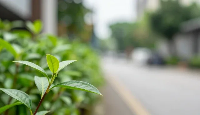 货物运输场景中适用条件的深度解析