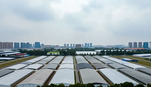 接口对接后的性能优化策略与实际应用场景分析