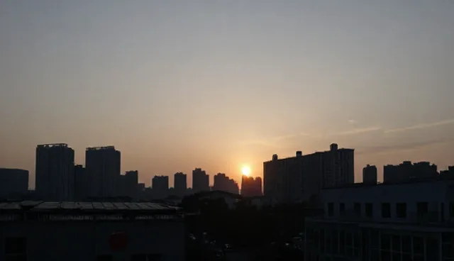 效率提升方案在财税处理中的实际应用