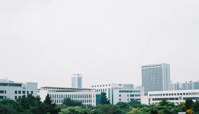 淄博网站设计如何提升企业名录查询效率