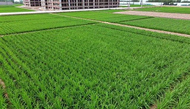 核对清单：建筑工程品质执行的关键检查要点