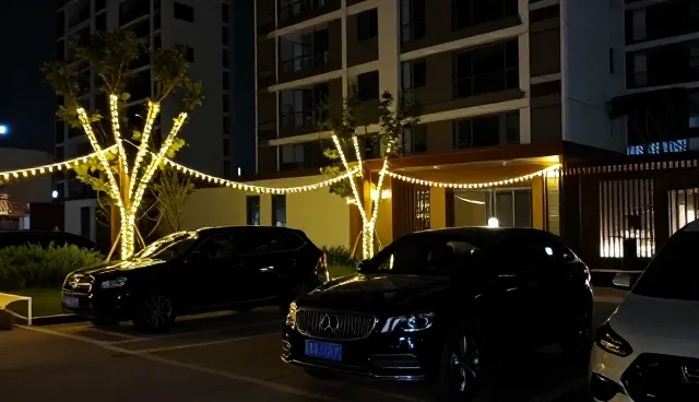 应急处理场景中汽车美容套餐的适用边界