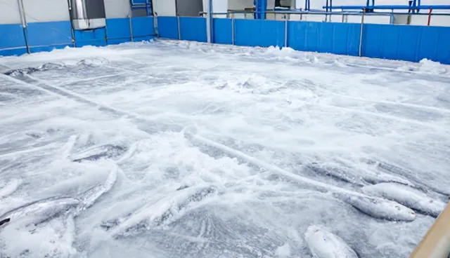 核对清单：仓储保鲜选型关注点
