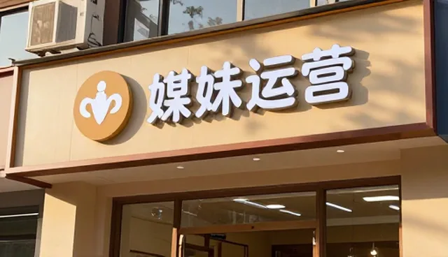 媒介投放的适用情况与限制分析