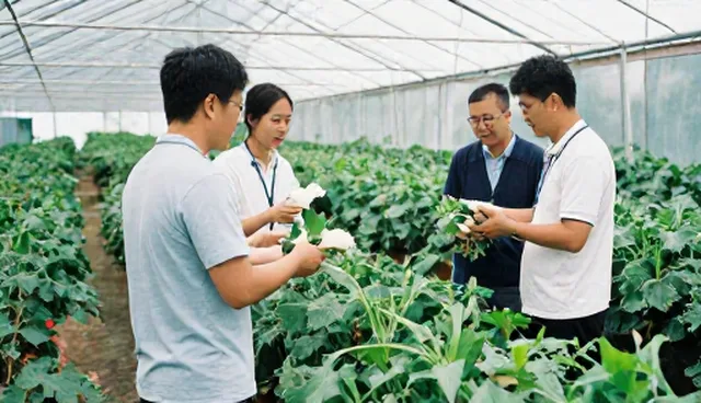 农产品收购中的农业供应链选型关键因素分析