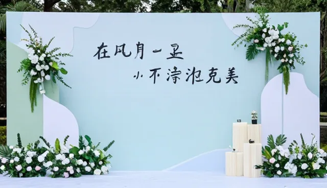 影视策划内容优化如何影响项目性能表现