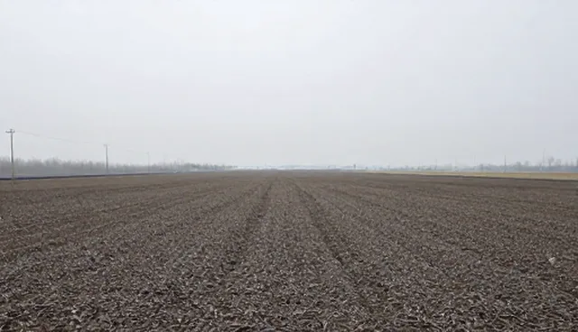 农业咨询选型关注点有哪些？如何避免选错？