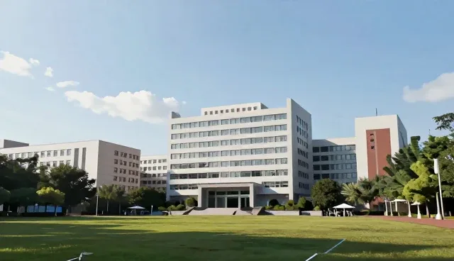 软件研发数字化实施中的成本效益优化策略