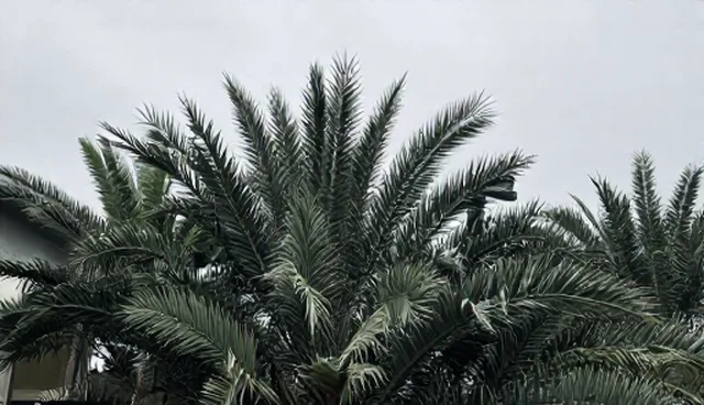 商行电商代运营常见问题处理要点解析