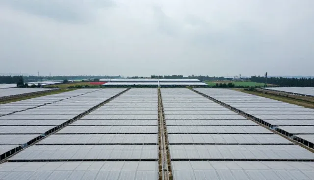 用户转化中全流程跟进的核心价值与实施要点