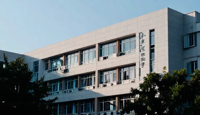 SEO优化服务选型需关注服务器性能