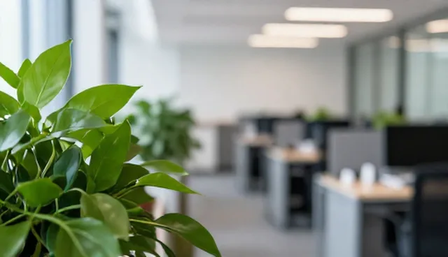 如何选择适合的实时反馈处理方案